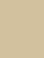#d2c19e color image