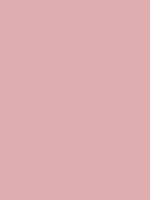 #ddadaf color image