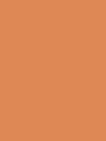 #df8752 color image