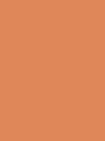 #df8759 color image