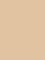 #dfc19d color image