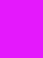 #e419fc color image