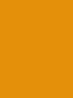 #e4900a color image