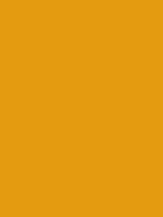 #e49b0f color image