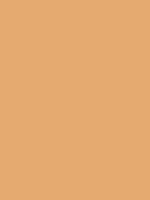 #e5aa70 color image