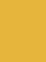 #e5b73b color image