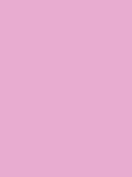 #e7accf color image