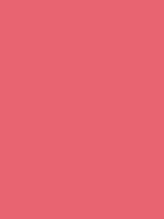 #e86471 color image