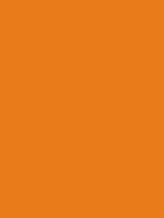 #e97c19 color image