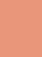 #e9967a color image