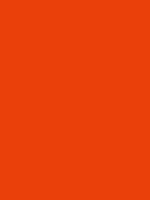 #ea400a color image