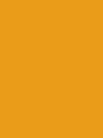 #ea9c19 color image