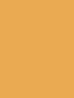 #eaaa52 color image