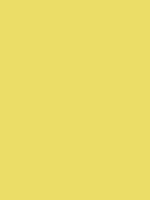 #ebdd67 color image