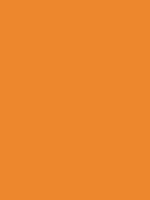 #ed872d color image