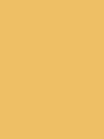 #eebf64 color image