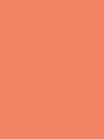 #f28362 color image