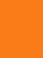 #f97c19 color image