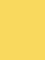 #fada5e color image
