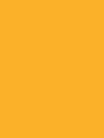 #fbb129 color image