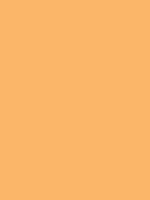 #fbb669 color image
