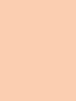 #fbceb1 color image