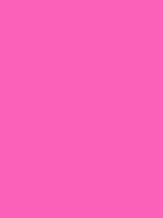 #fc61ba color image