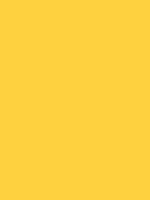 #fed13f color image