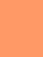 #ff9966 color image