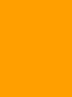 #ff9f00 color image