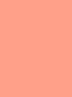 #ffa089 color image