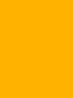 #ffb300 color image