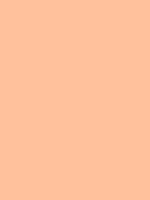 #ffc19c color image