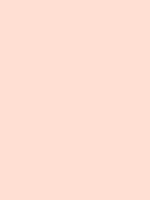 #ffdfd3 color image