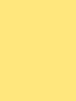 #ffe77d color image
